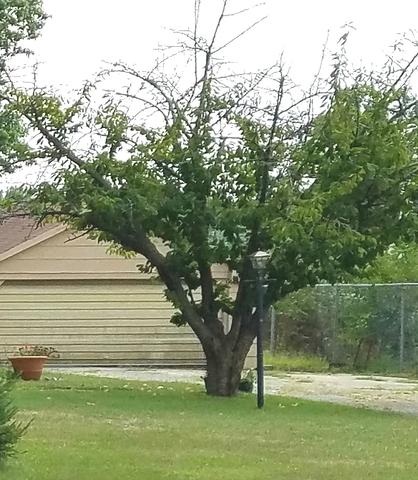 44 Baker St, Kankakee, IL 60901 photo 24