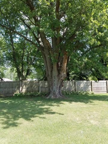 44 Baker St, Kankakee, IL 60901 photo 22