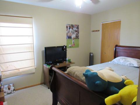 1700 Lake Pointe Ct, Plainfield, IL 60586 photo 21