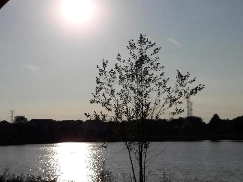 1700 Lake Pointe Ct, Plainfield, IL 60586 photo 30