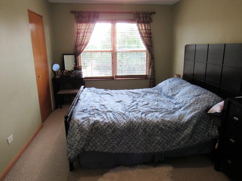 1700 Lake Pointe Ct, Plainfield, IL 60586 photo 23