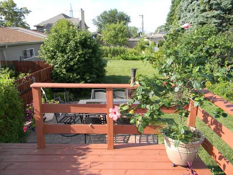 7348 W 85th St, Bridgeview, IL 60455 photo 28