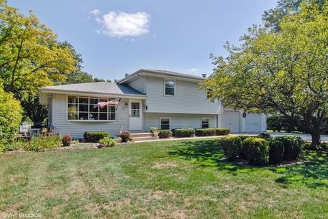 16361 S Dan Oconnell Dr, Plainfield, IL 60586 photo 1