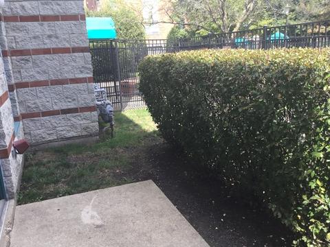 3265 Kirchoff Rd #118, Rolling Meadows, IL 60008 photo 10