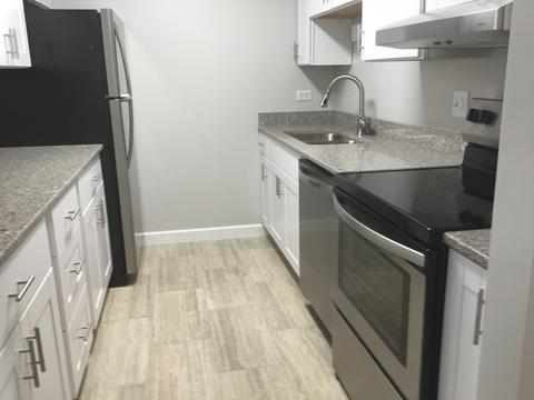 3265 Kirchoff Rd #118, Rolling Meadows, IL 60008 photo 2