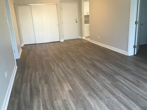 3265 Kirchoff Rd #118, Rolling Meadows, IL 60008 photo 4