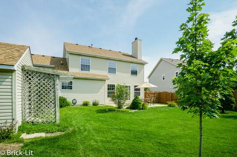 2107 Langdon Cir, Plainfield, IL 60586 photo 8