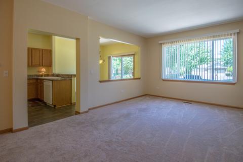 21305 W Conifer Dr, Plainfield, IL 60544 photo 12