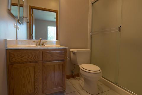 21305 W Conifer Dr, Plainfield, IL 60544 photo 23