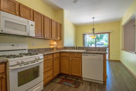 21305 W Conifer Dr, Plainfield, IL 60544 photo 14