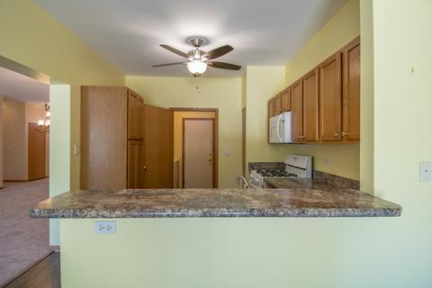 21305 W Conifer Dr, Plainfield, IL 60544 photo 19