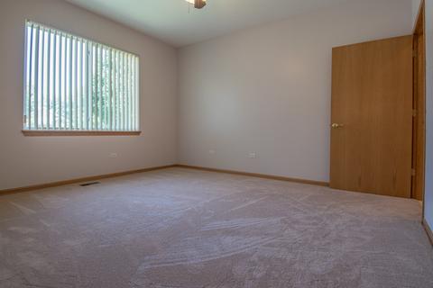 21305 W Conifer Dr, Plainfield, IL 60544 photo 20