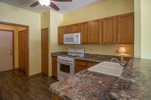 21305 W Conifer Dr, Plainfield, IL 60544 photo 13