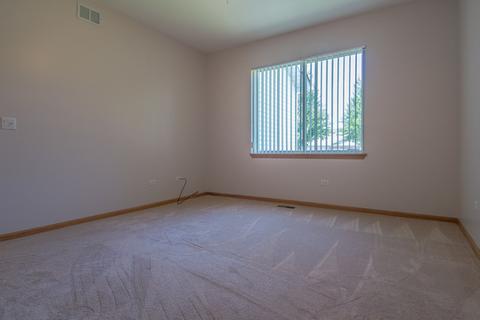 21305 W Conifer Dr, Plainfield, IL 60544 photo 21