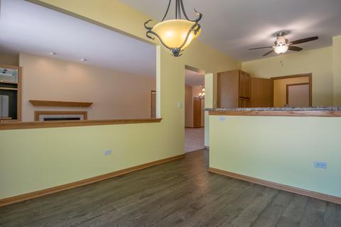 21305 W Conifer Dr, Plainfield, IL 60544 photo 17