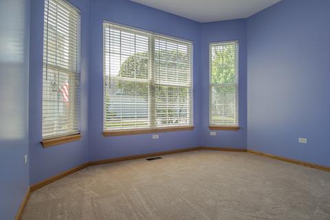 21305 W Conifer Dr, Plainfield, IL 60544 photo 24