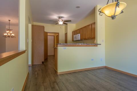 21305 W Conifer Dr, Plainfield, IL 60544 photo 18