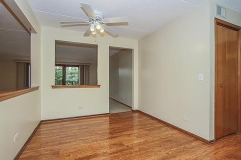 1600 E Thacker St #404, Des Plaines, IL 60016 photo 9