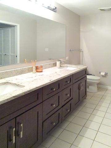 720 Prestwick Ln #203, Wheeling, IL 60090 photo 14