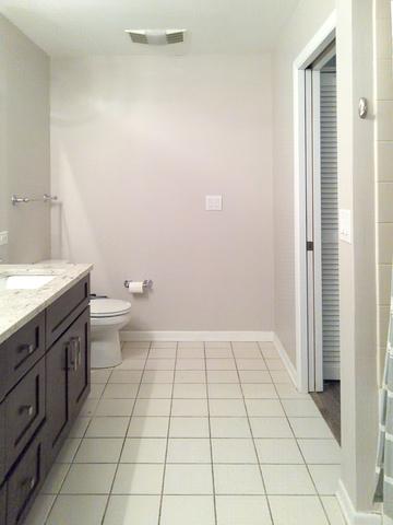 720 Prestwick Ln #203, Wheeling, IL 60090 photo 15