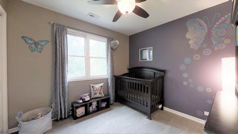 1006 Valley Ave, Mchenry, IL 60050 photo 21