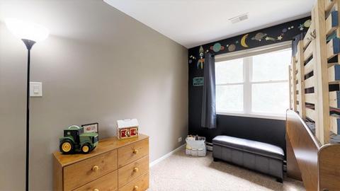 1006 Valley Ave, Mchenry, IL 60050 photo 24