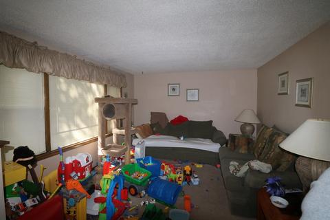 401 S Third St, Peotone, IL 60468 photo 5