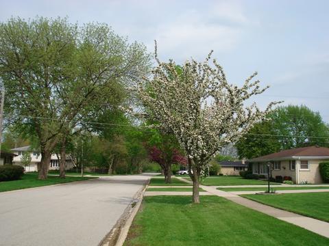 1709 W Rusty Dr, Mount Prospect, IL 60056 photo 21