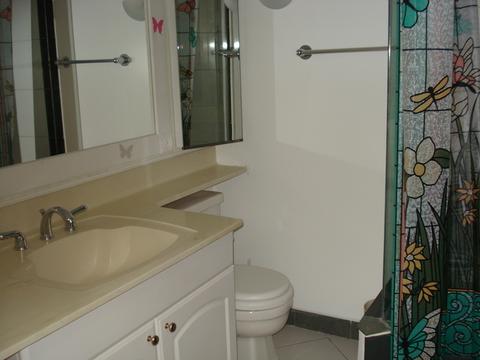 1709 W Rusty Dr, Mount Prospect, IL 60056 photo 18