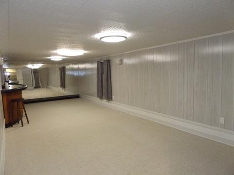 1709 W Rusty Dr, Mount Prospect, IL 60056 photo 14