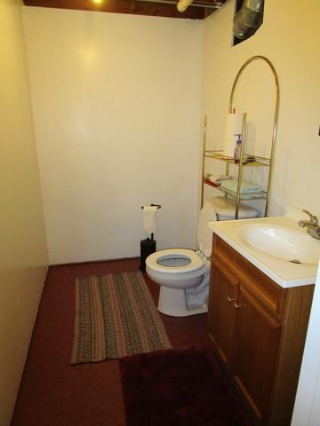 905 Carriage Dr, Algonquin, IL 60102 photo 16