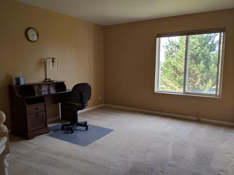 1104 Delta Dr, Elgin, IL 60123 photo 12