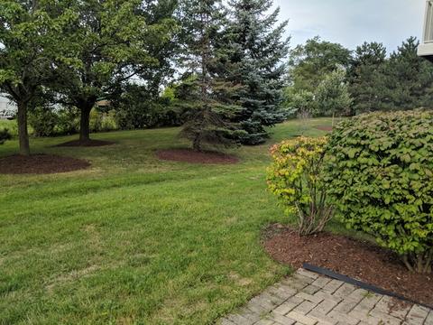1104 Delta Dr, Elgin, IL 60123 photo 5