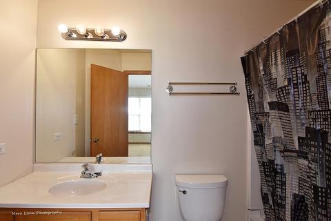 675 E Willow St, Elburn, IL 60119 photo 18