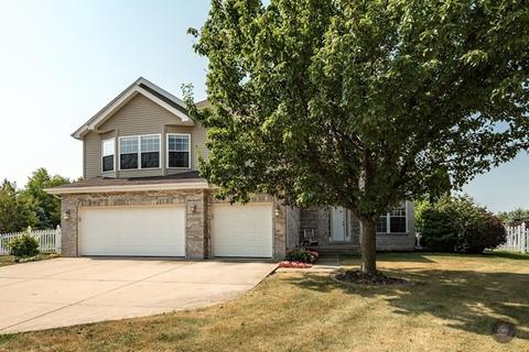13416 Ione St, Plainfield, IL 60585 photo 1