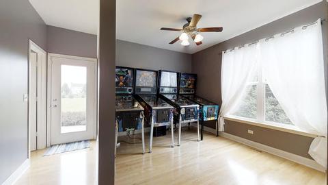 9209 Deborah Ln, Spring Grove, IL 60081 photo 21