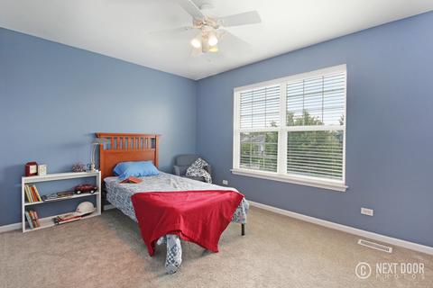 412 Hackney Ln, Oswego, IL 60543 photo 23