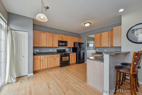 203 Garden Dr, Elgin, IL 60124 photo 9