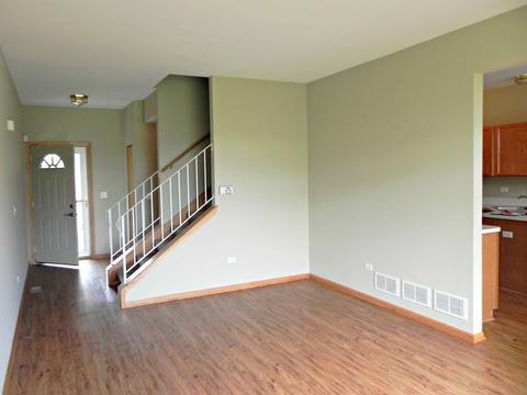 19214 Crescent Dr, Mokena, IL 60448 photo 8