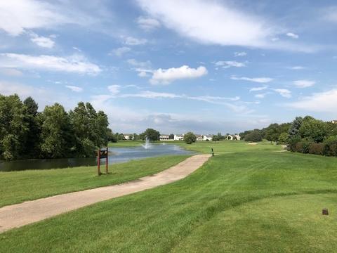 606 Golfers Ln, Bartlett, IL 60103 photo 15