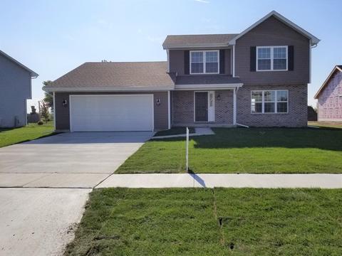 2575 E Girot Ln, Diamond, IL 60416 photo 1