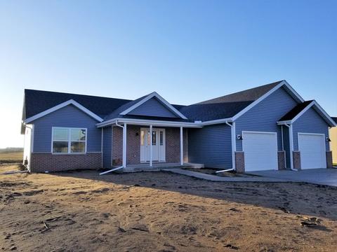 2555 E Girot Ln, Diamond, IL 60416 photo 1