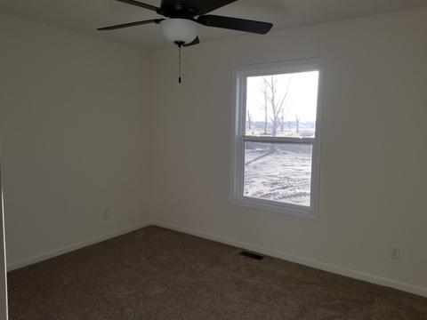 2555 E Girot Ln, Diamond, IL 60416 photo 8