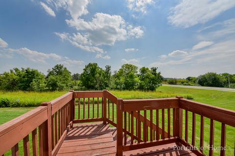 14023 Briar Ln, Plainfield, IL 60544 photo 23