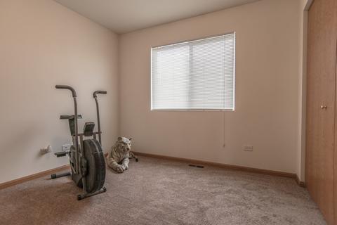 6511 Mountain Ridge Pass, Plainfield, IL 60586 photo 24