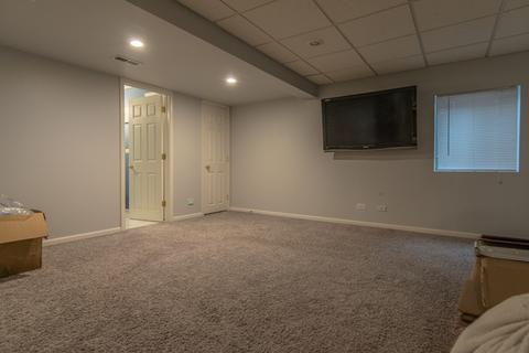 6511 Mountain Ridge Pass, Plainfield, IL 60586 photo 29