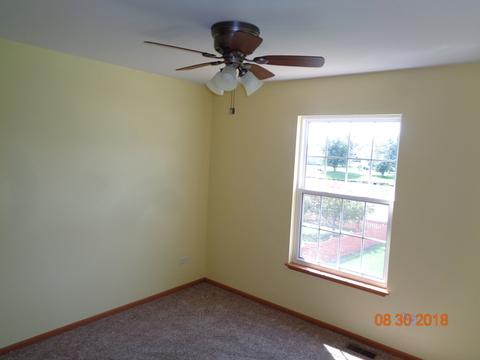 25620 S Daffodil Ln, Monee, IL 60449 photo 12