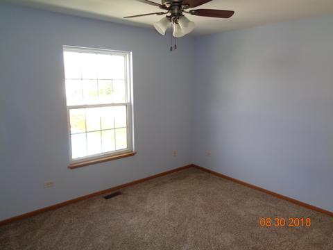 25620 S Daffodil Ln, Monee, IL 60449 photo 10