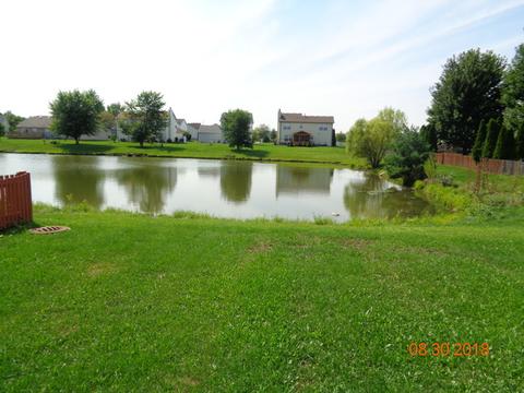 25620 S Daffodil Ln, Monee, IL 60449 photo 17