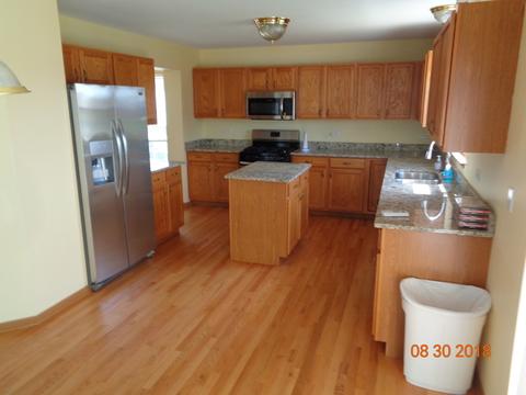 25620 S Daffodil Ln, Monee, IL 60449 photo 5